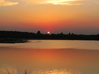 1546945942765359.jpg 1.jpg